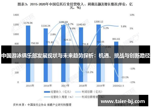 中国游泳俱乐部发展现状与未来趋势探析：机遇、挑战与创新路径